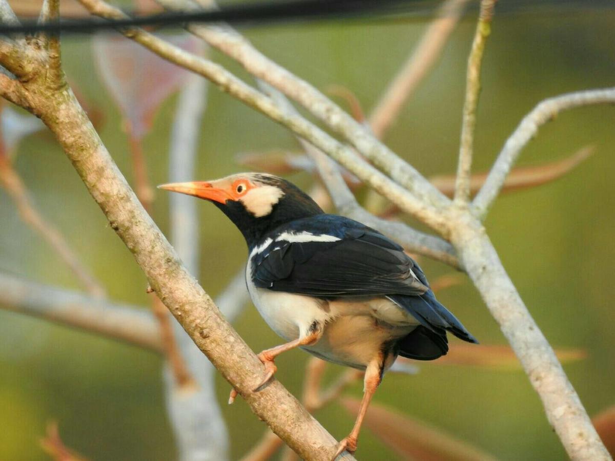 Baanraisooksangchan Kaeng Kachan Luaran gambar