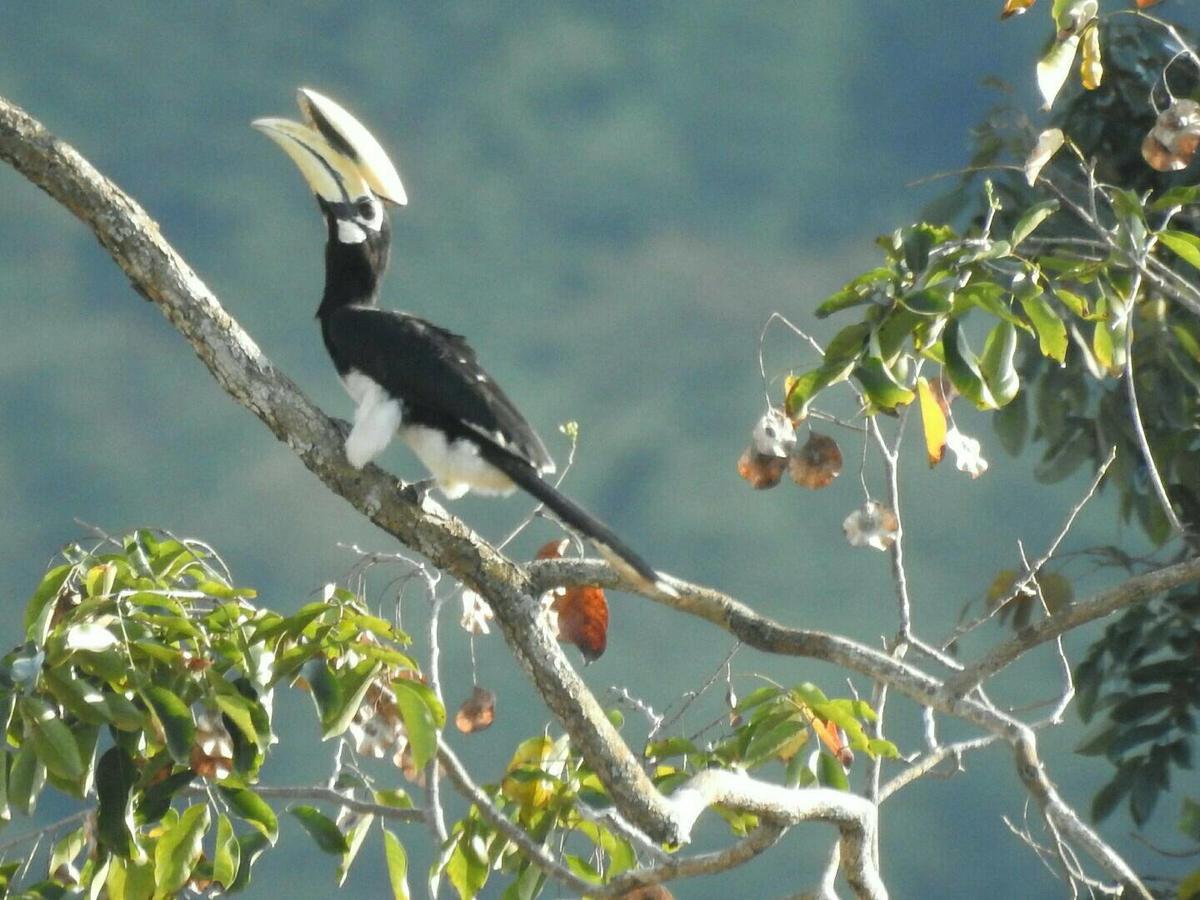 Baanraisooksangchan Kaeng Kachan Luaran gambar